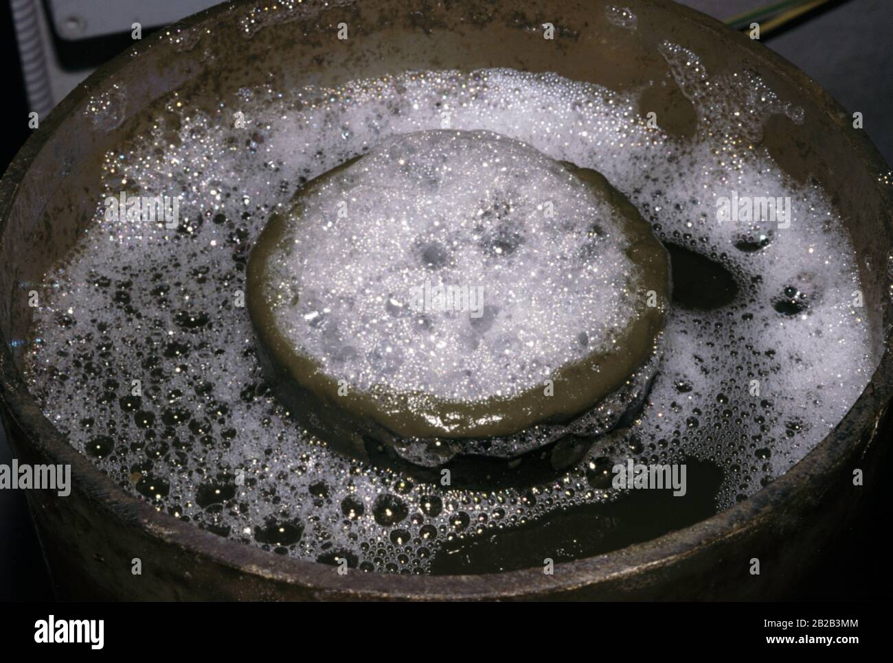 Foam skimmer pool in aquarium protein skimmer Stock Photo Alamy