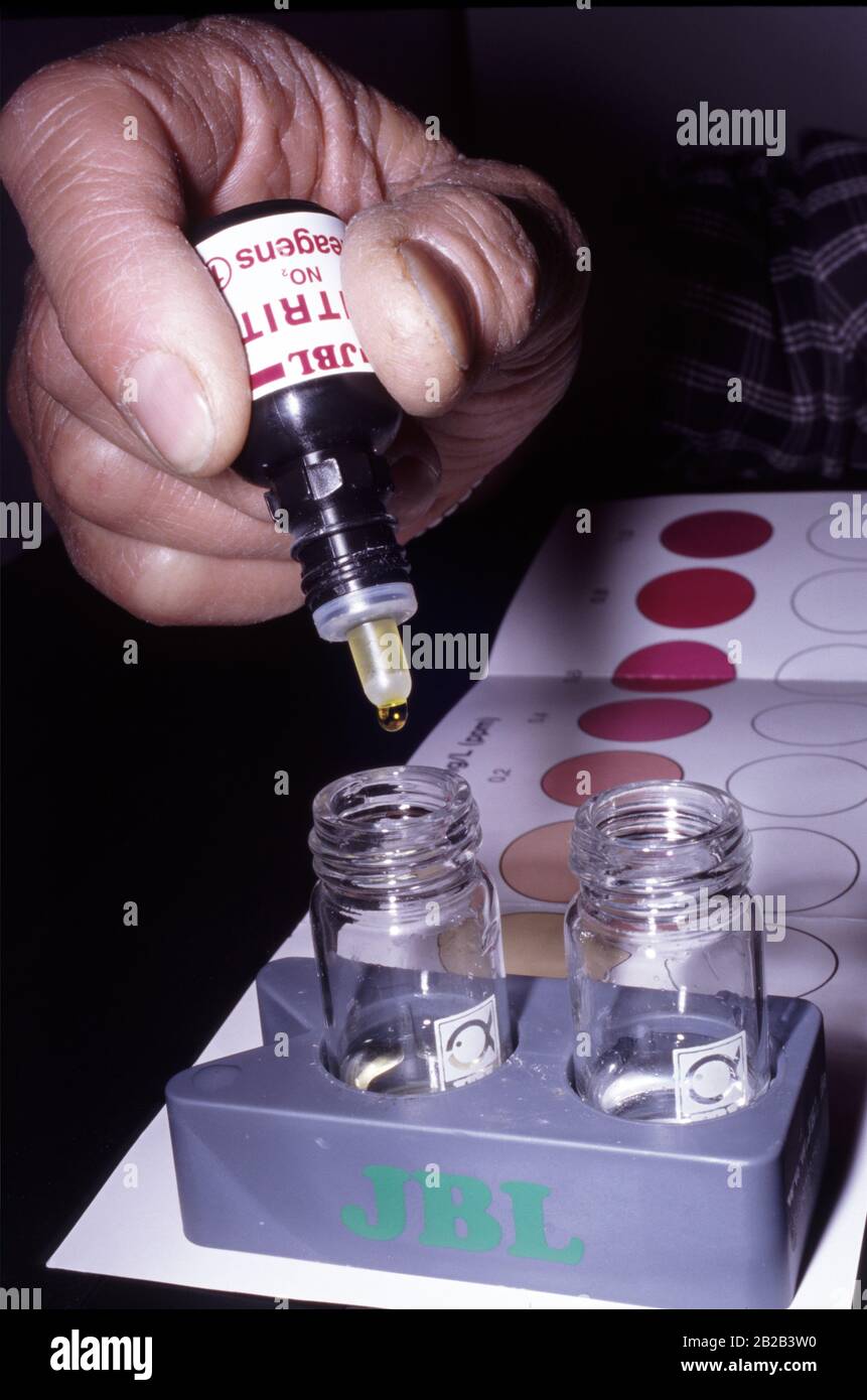 Aquarium pH test Stock Photo - Alamy - Beneficial Bacteria Test For Aquarium Low Ph