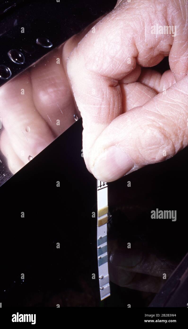 Aquarium pH test Stock Photo - Alamy