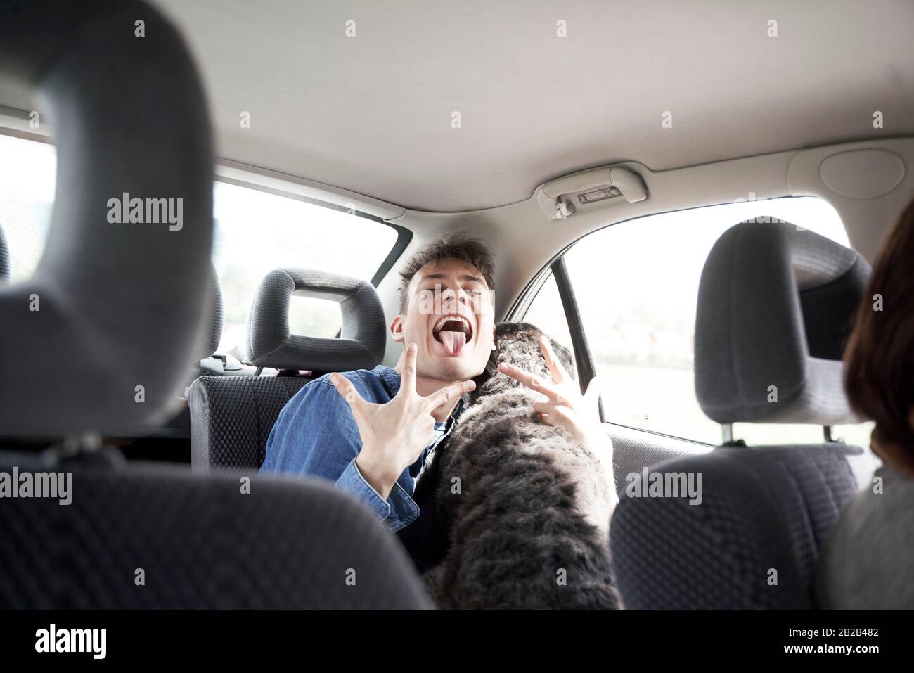 Dog in the passenger seat hires stock photography and images Alamy