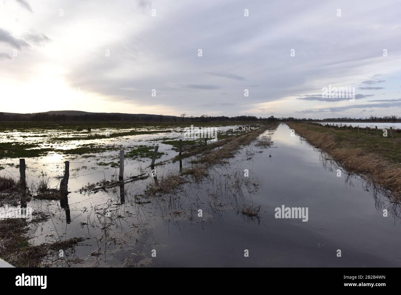 Meerbruchswiesen,Naturschutzgebiet bei Winzlar Stock Photo Alamy