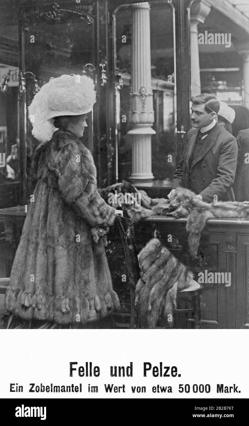 A fine lady tries on a precious sable coat worth 50,000 marks in a Berlin fur shop. Stock Photo
