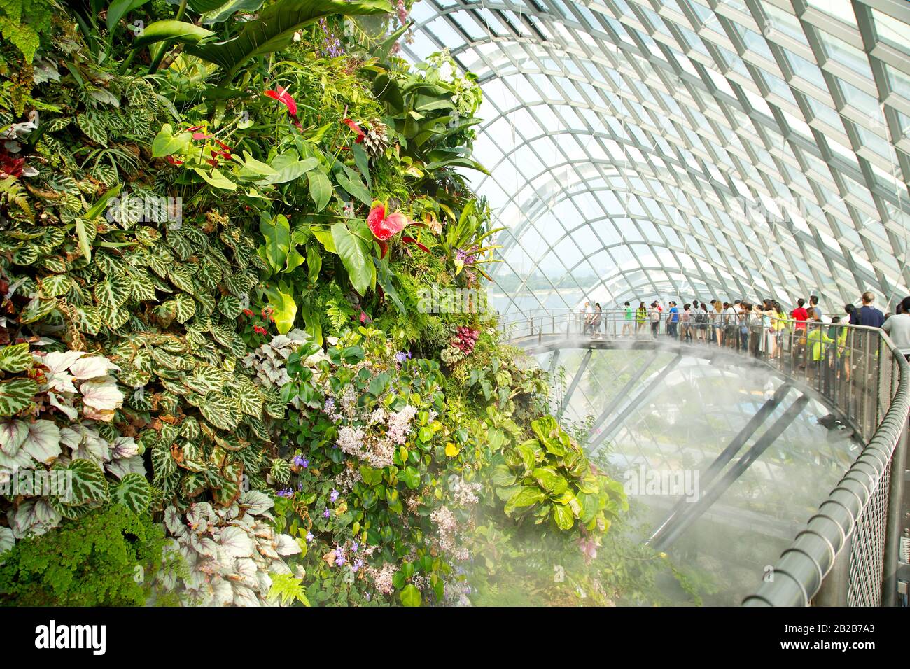 Botanic Gardens, Singapore Stock Photo