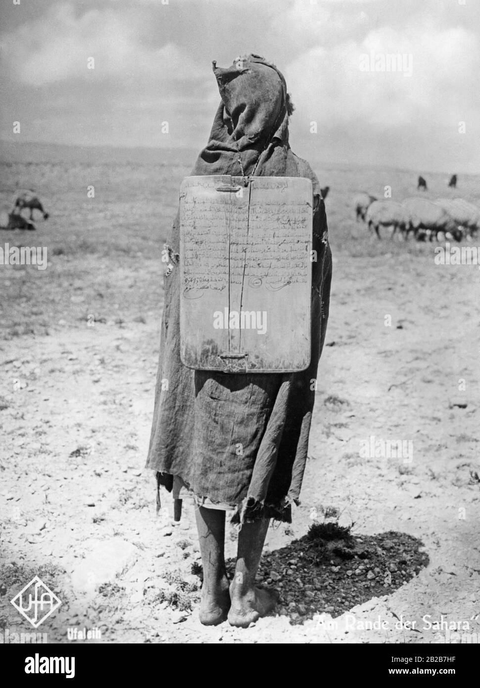 An indigenous boy watches over his sheep and has a plaque with Arabic writing on his back. The German Ufa film 'Am Rande der Sahara' from 1930 by Martin Rikli and Rudolf Biebrach is about a young German researcher who leads a woman through Tunisia. Stock Photo