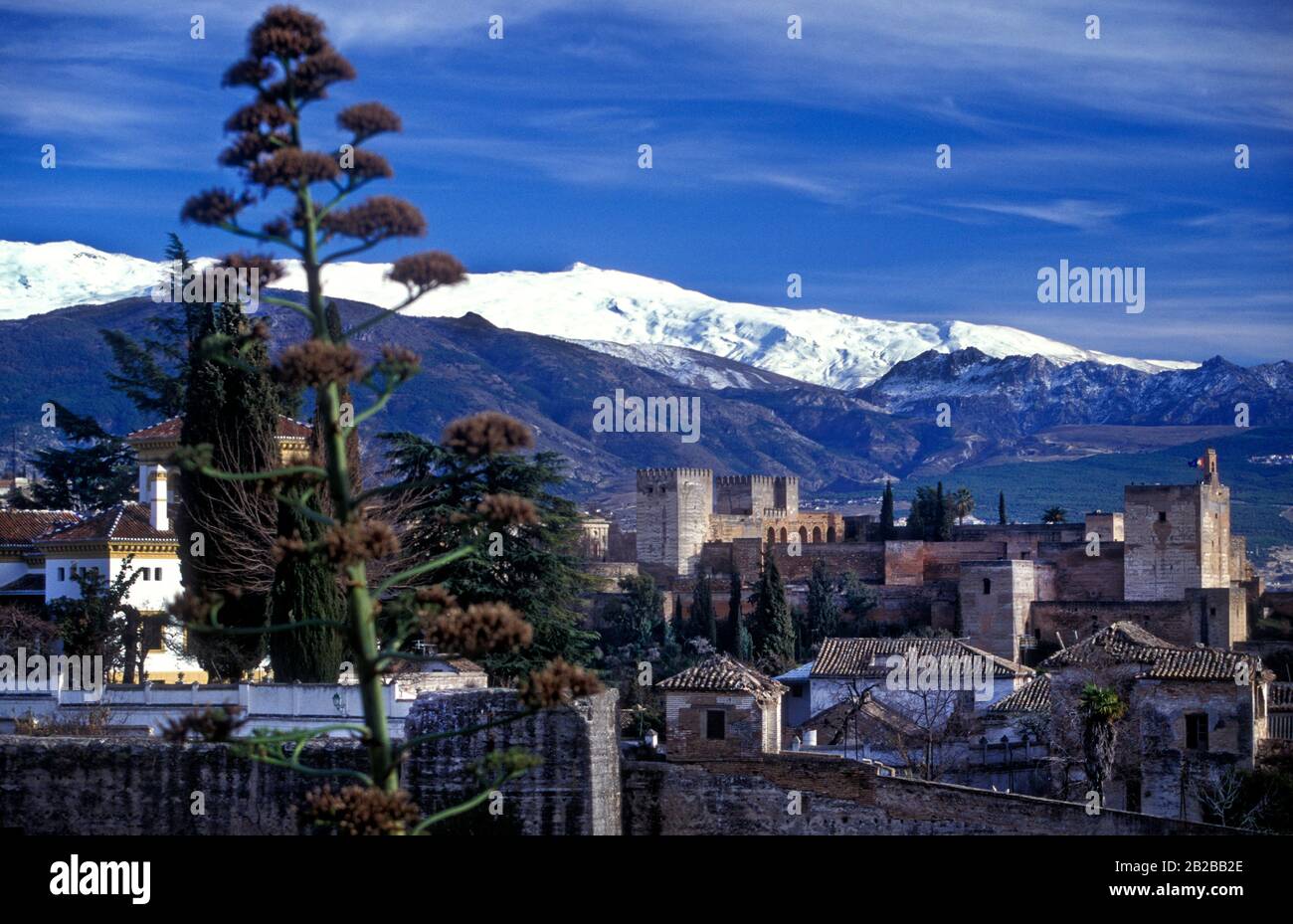 Alhambra Palace Granada Spain in winter Stock Photo