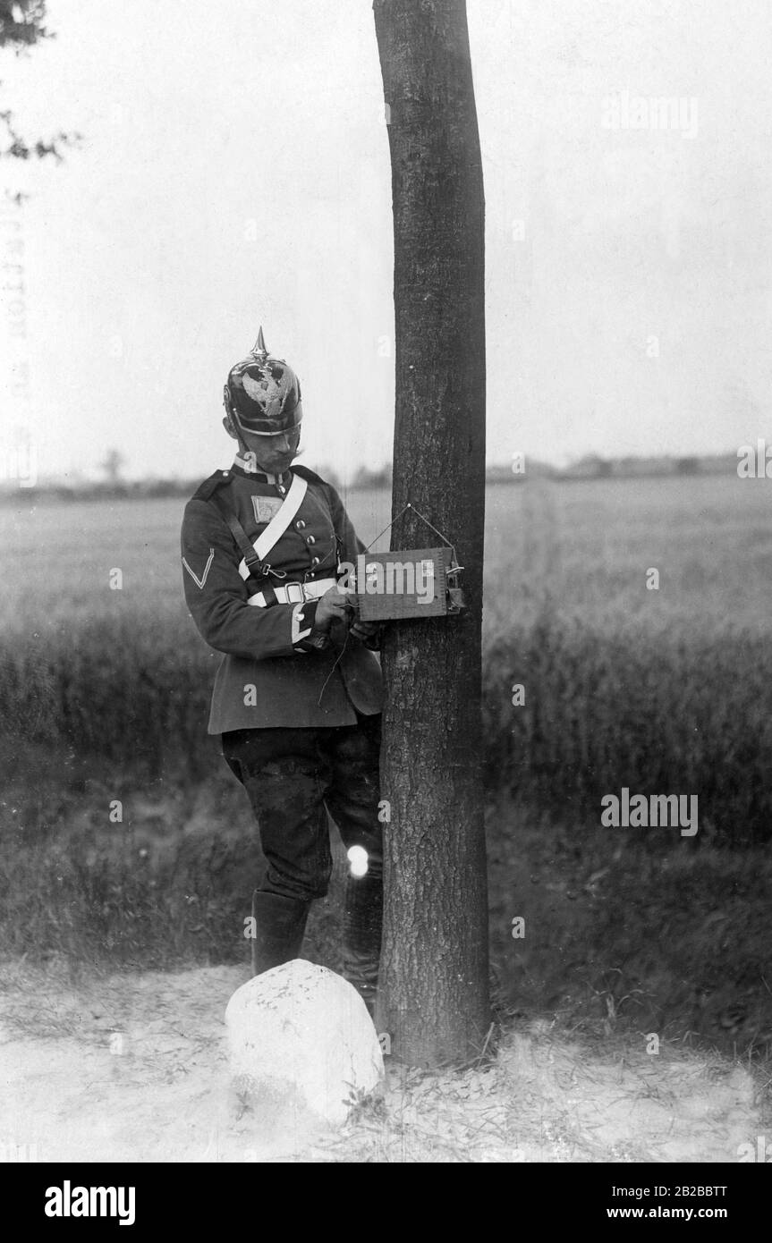 A soldier of the Royal Prussian Telegraph Battalion No. 1 at a station by a tree. Undated photo. Stock Photo