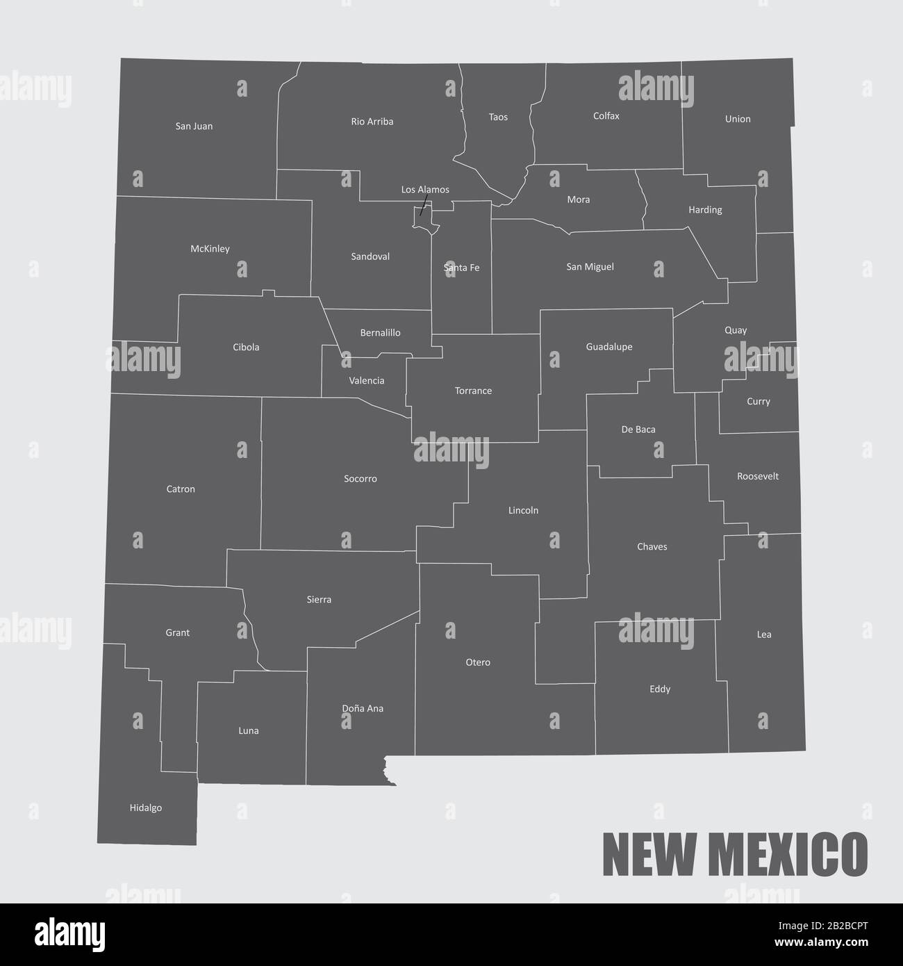 New Mexico counties map Stock Vector