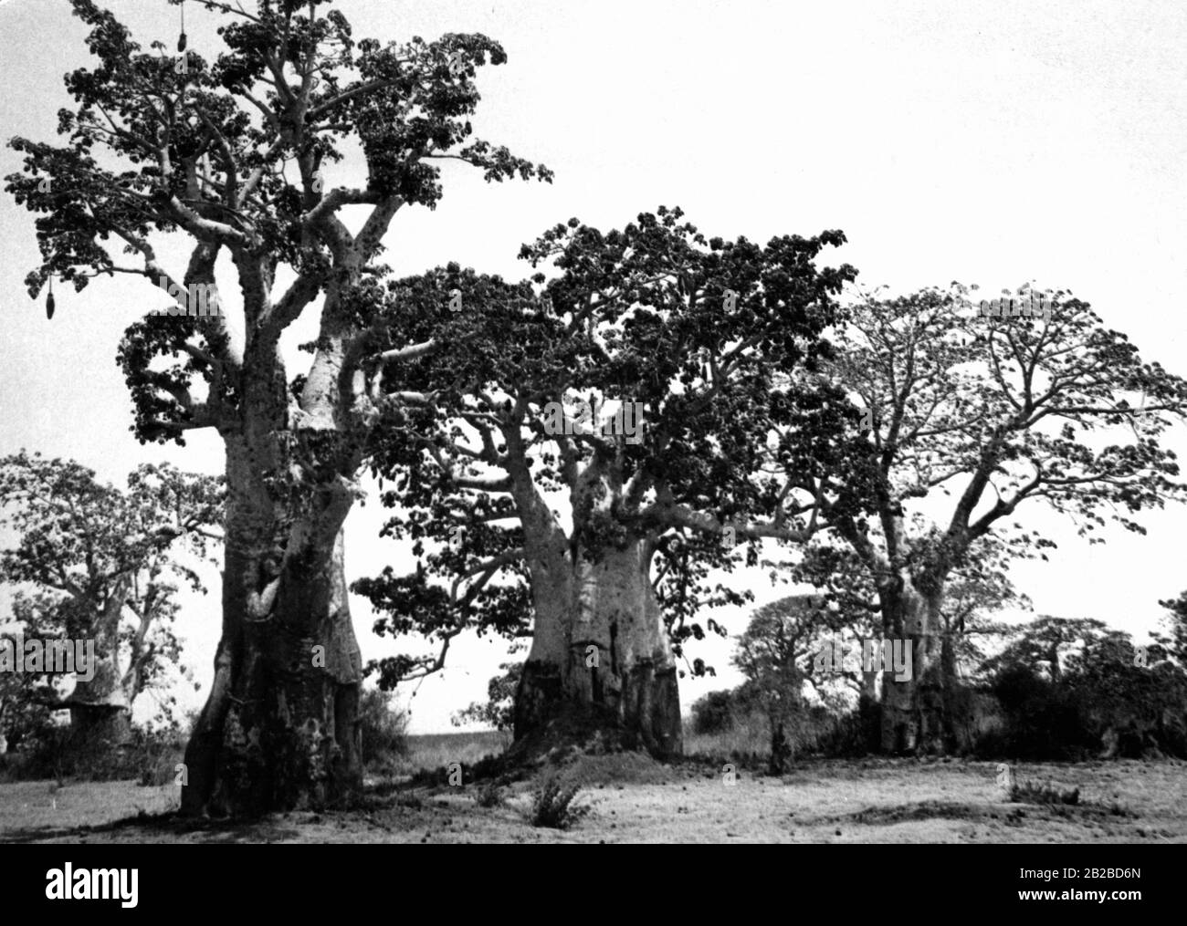 Angolas capital luanda Black and White Stock Photos & Images Alamy