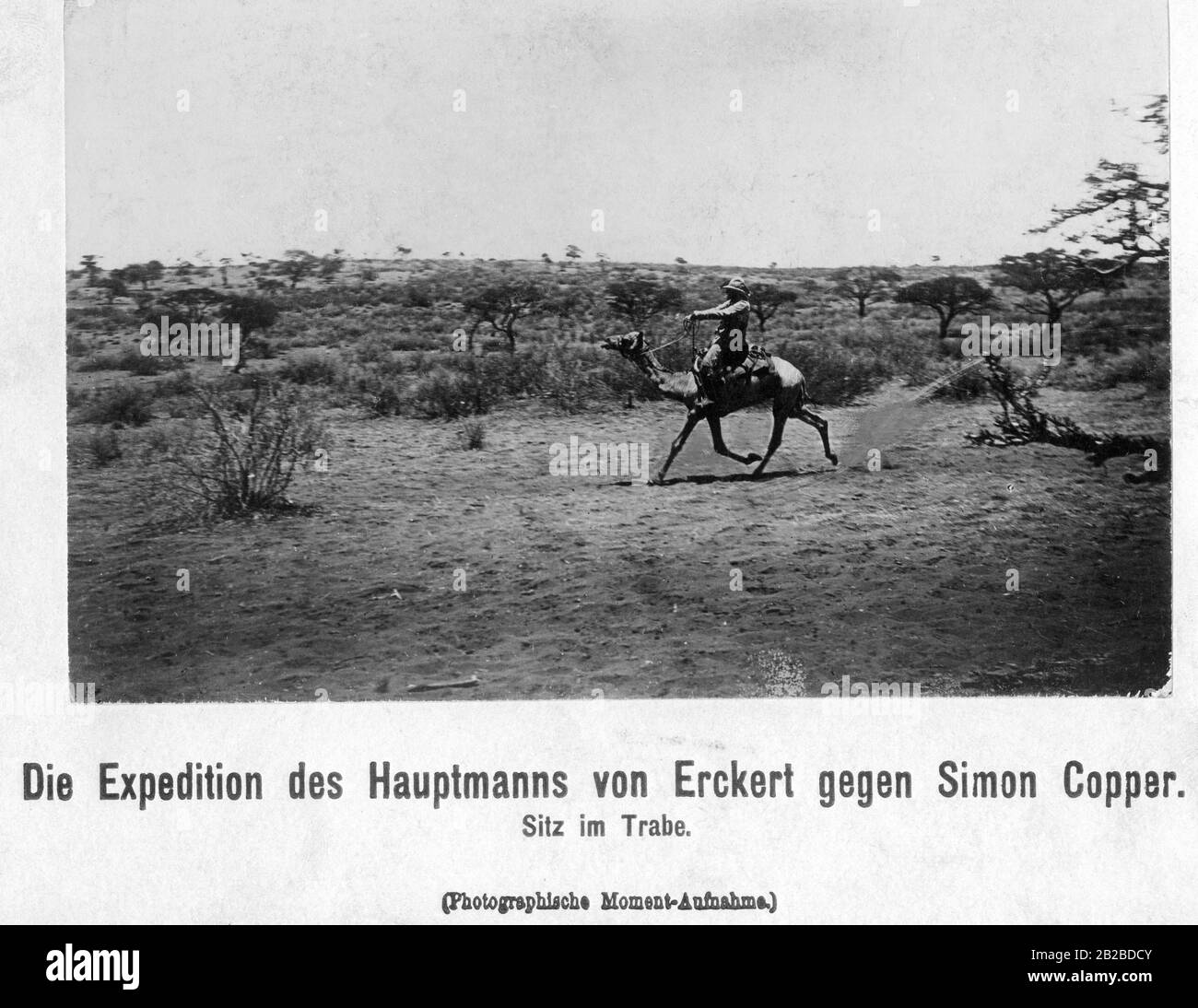 In German South West Africa the local population revolted against German supremacy between 1904 and 1908, first under the leadership of Hendrik Witbooi and from 1905 under Simon Copper. Captain Friedrich von Erckert conducted a campaign against them. The picture shows a German soldier riding a camel. Stock Photo