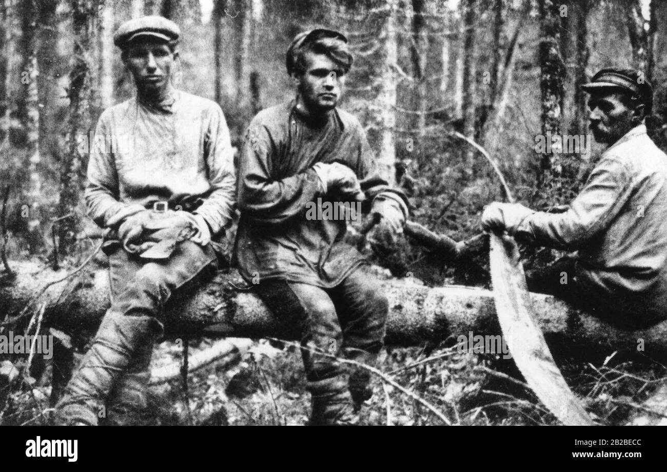 Soviet forced laborers at forest work. Undated photo, probably in the 1930s. Stock Photo