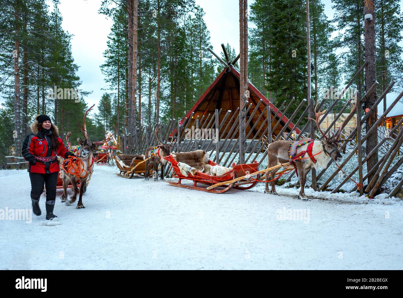 Rovaniemi, Finland, Tourists on reindeer-drawn sledges in the Santa Claus Village and Park Stock Photo