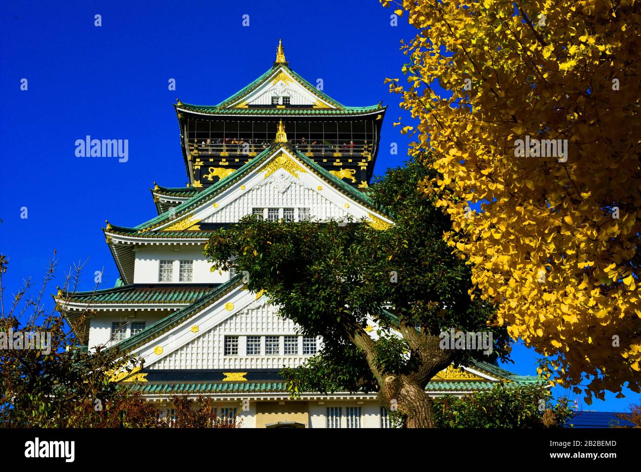 Osaka castle, Kansai,Honshu,Japan,Asia. Stock Photo