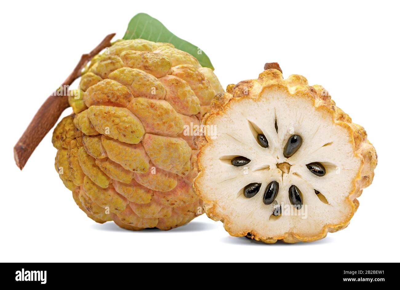Annona or Custard apple fruit isolated on white backgrond Stock Photo