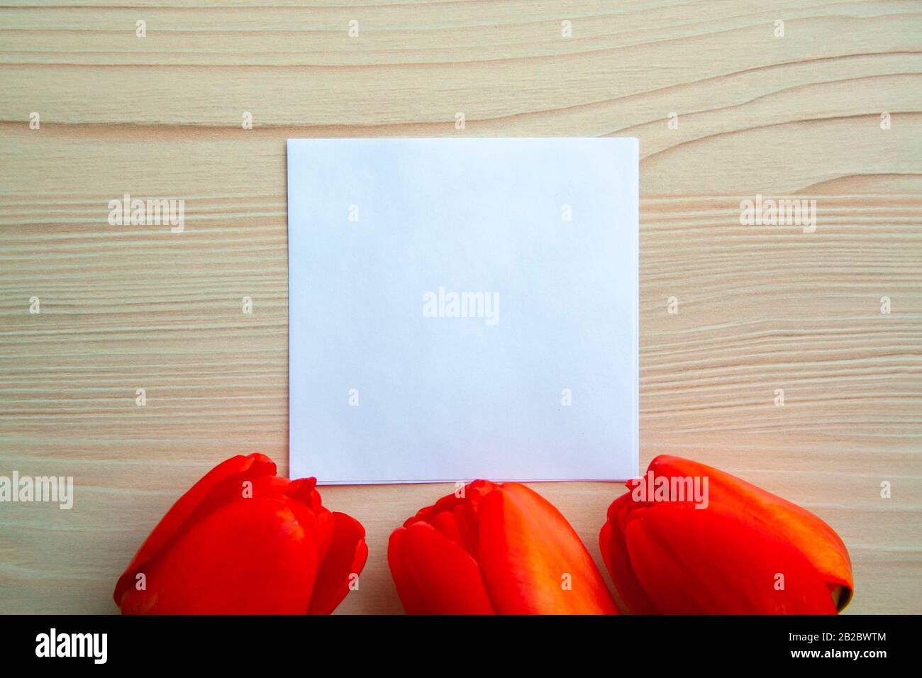 Flat lay beautiful red tulips with paper clean list on wooden ...
