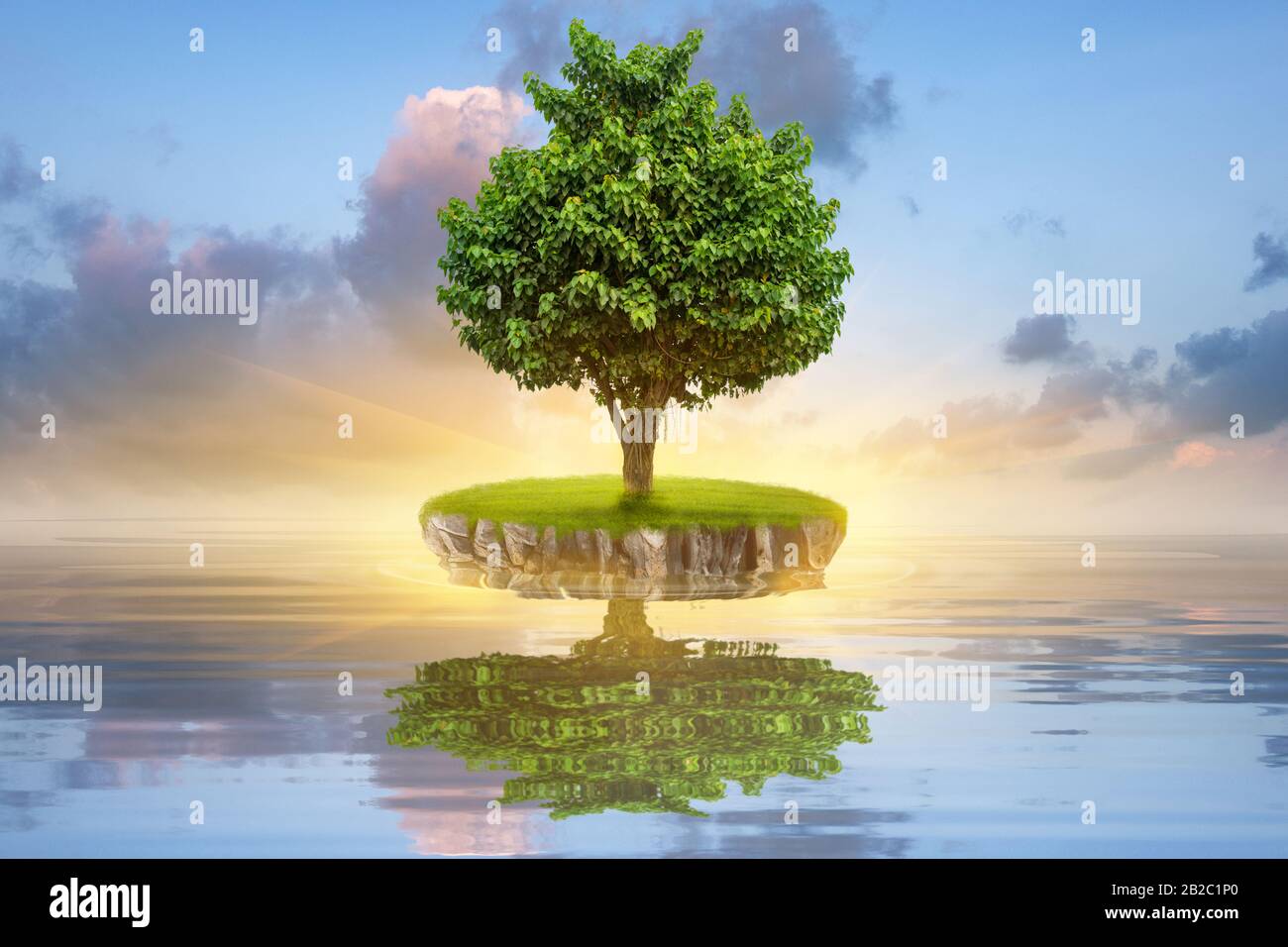 Small green island with lonely tree reflection in quiet water of the ocean. Financial business Concept. Stock Photo