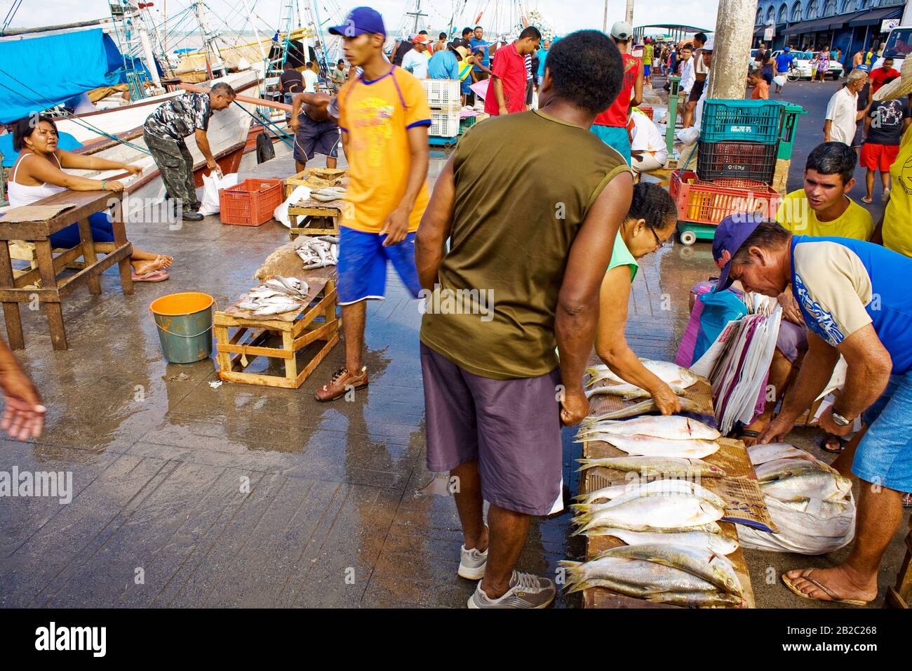 Salesperson of Fish, Belém, Pará, Brazil Stock Photo - Alamy