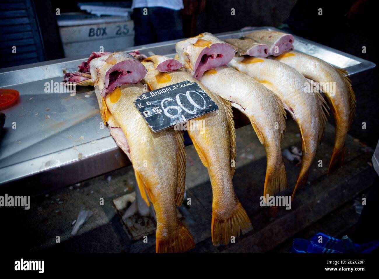 Fish, Ver-o-Peso Market, Belém, Pará, Brazil Stock Photo - Alamy