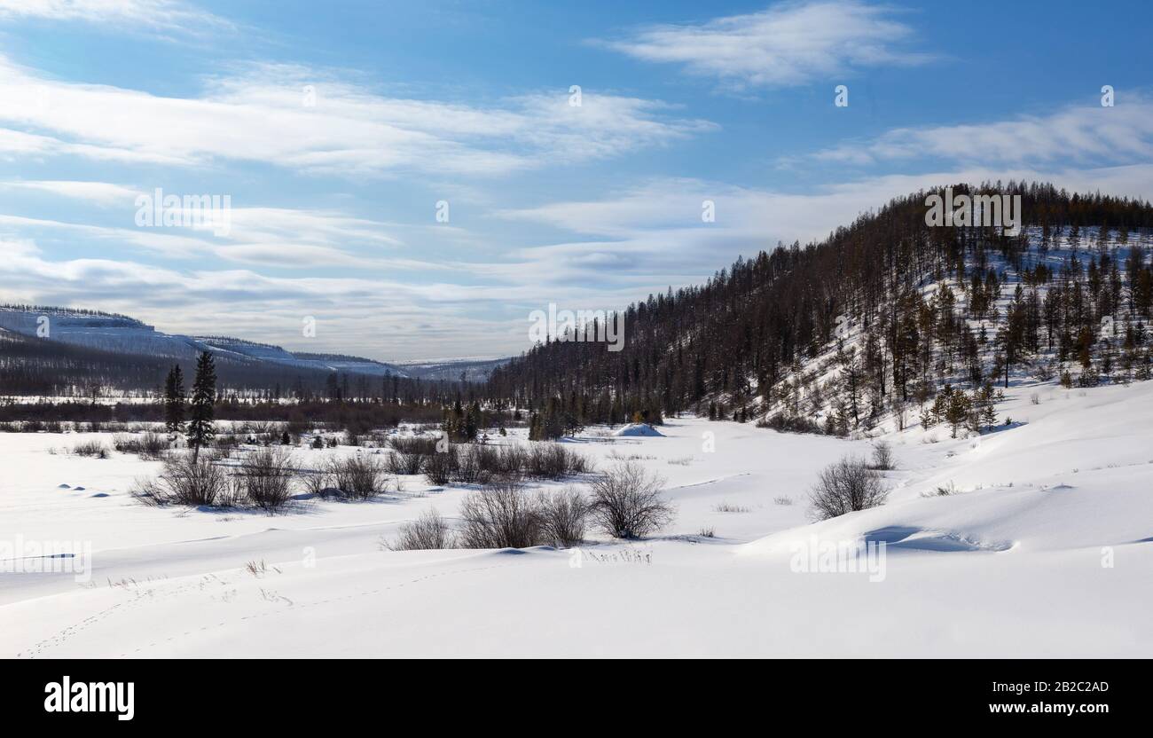 Winter landscape in Yakutia. Chulmakan River Valley in South Yakutia, Russia Stock Photo