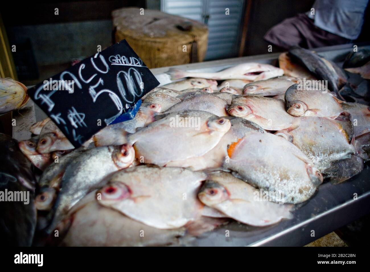 Fish, Ver-o-Peso Market, Belém, Pará, Brazil Stock Photo - Alamy