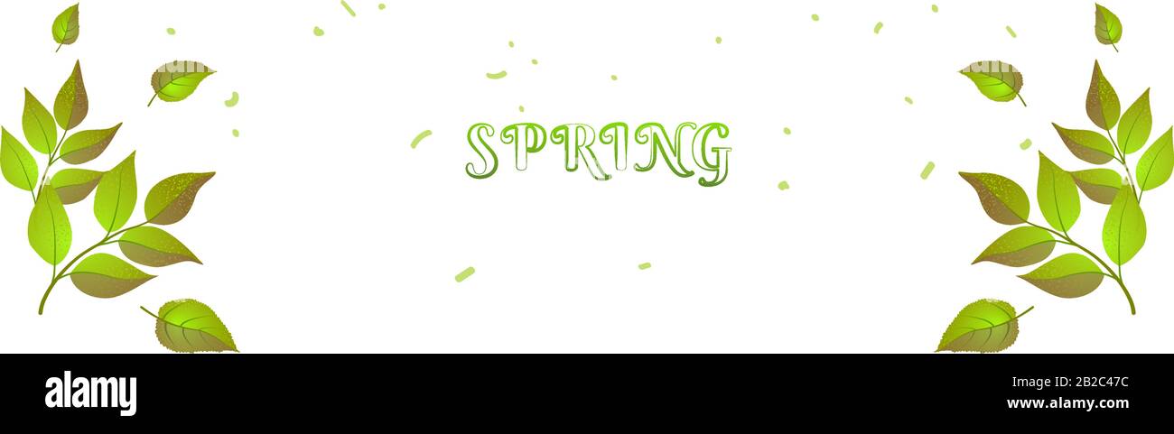 Spring header green brunches and text for web backdrop. Summer color banner, Nature cover background. Fresh Horizontal poster template. Eco design vector isolated illustration. Springtime concept. Stock Vector