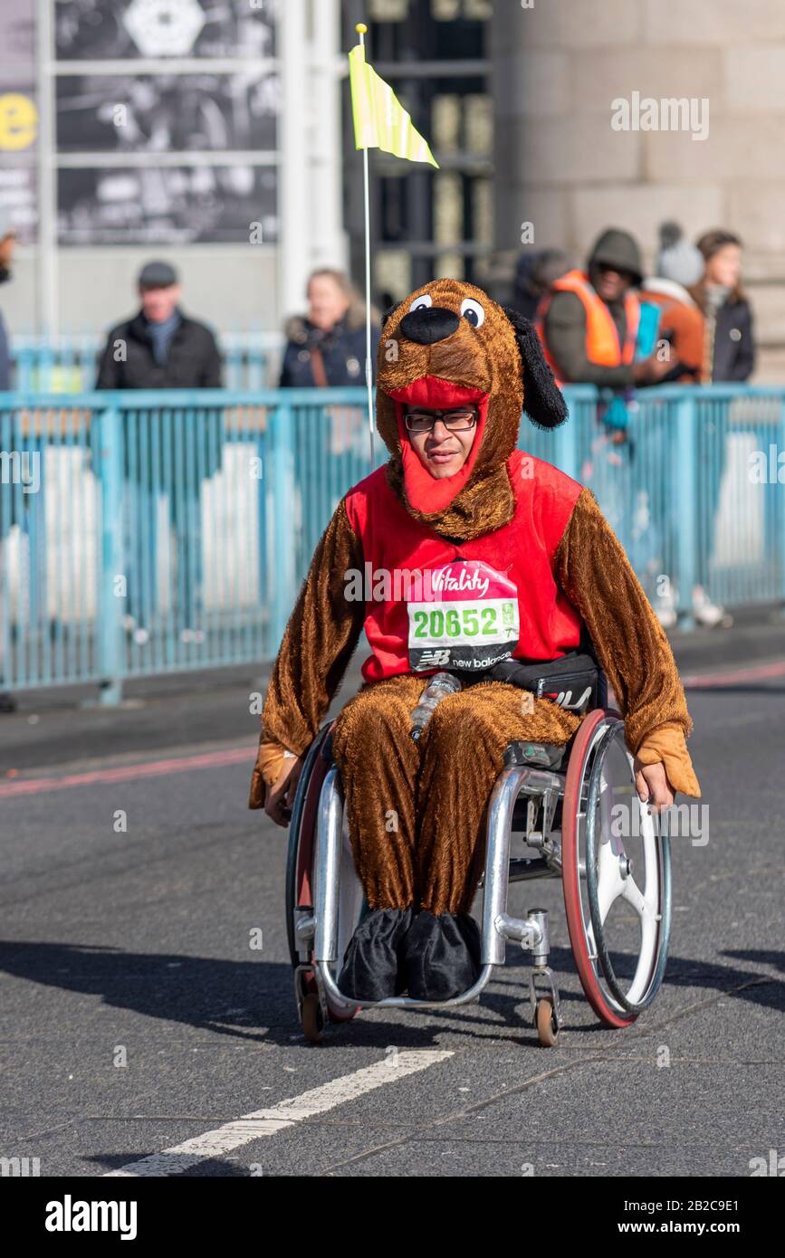Male wearing dog fancy dress costume in wheelchair racing in the Vitality Big Half half marathon crossing Tower Bridge, London. Peter Smorthit 20652 Stock Photo