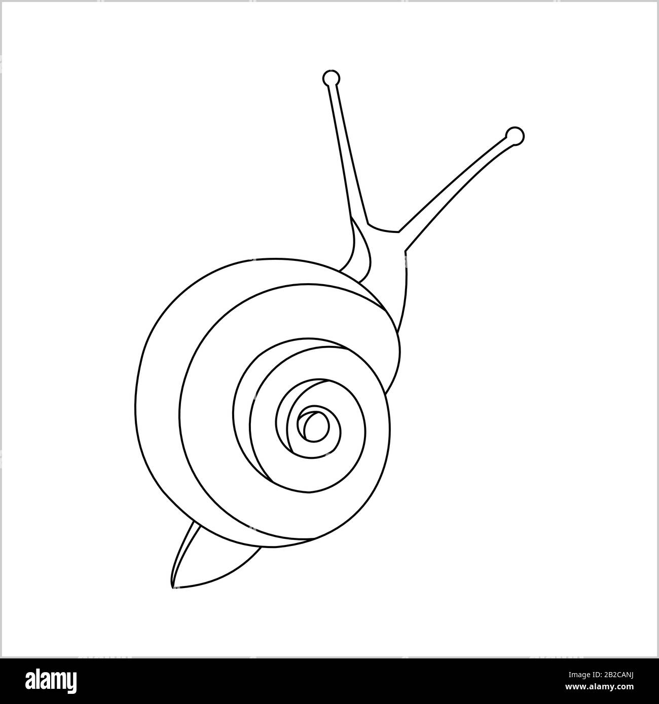 Snail For Coloring Book for kids and adults, Top view. Symbol of Slowness. Modern flat Vector illustration on white background. Stock Vector