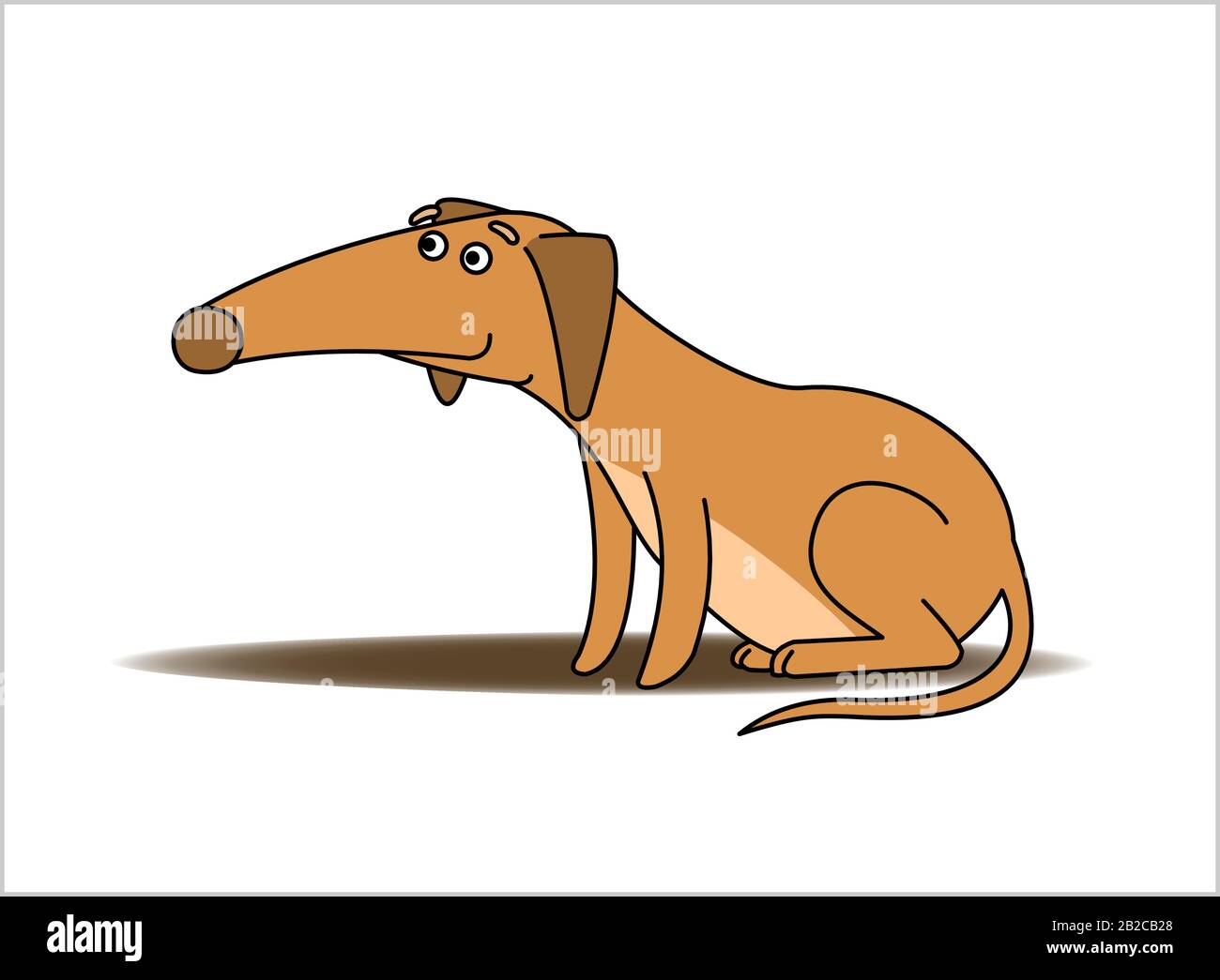 Dog. Redhaired Dachshund With a Long Nose. Funny Dachshund Sitting