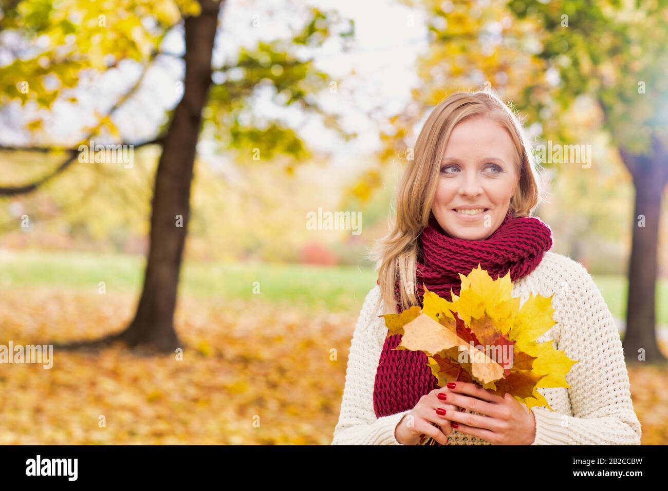 Portrait of beautiful woman holding maple leaves in park Stock Photo ...