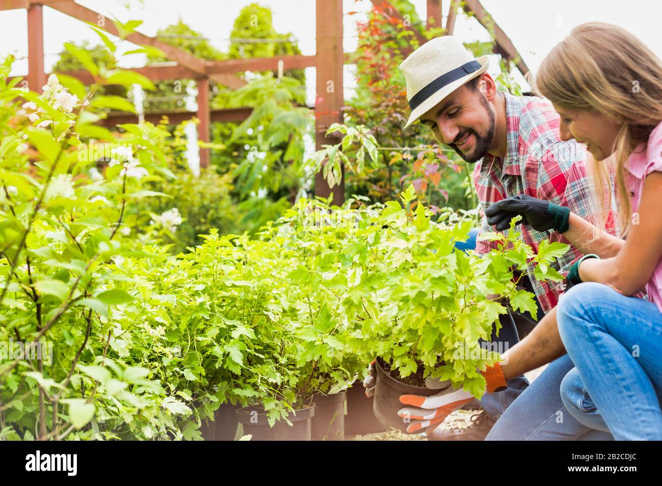 Man woman checking plants in hi-res stock photography and images - Alamy