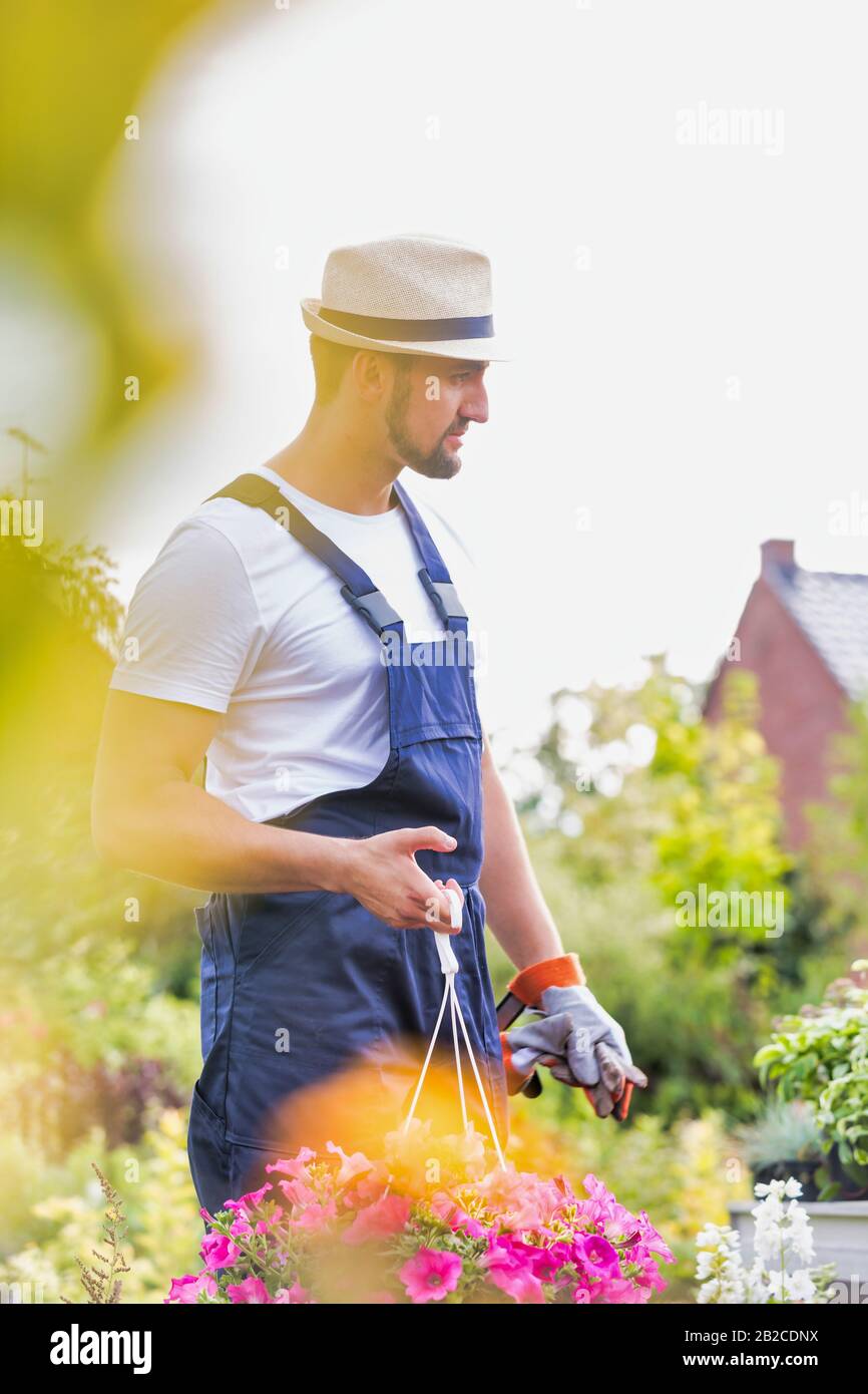 Portrait of mature male gardener holding flower in shop Stock Photo