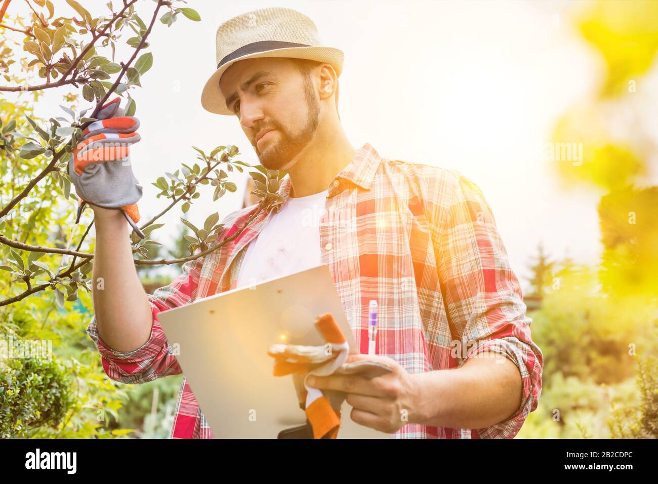 Portrait of mature male gardener examining plants growing while writing report on clipboard Stock Photo