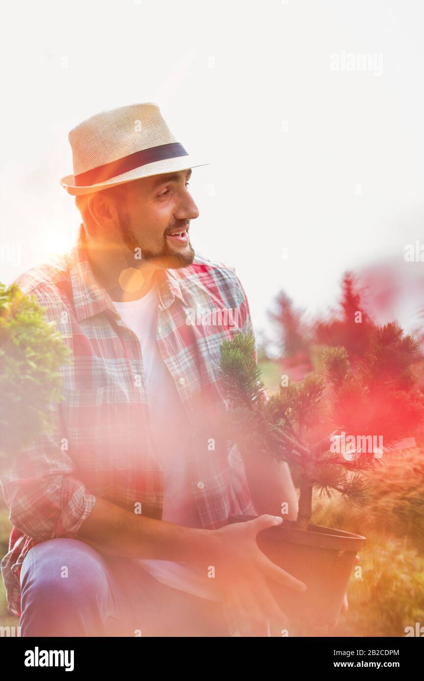 Portrait of mature male gardener holding plant on pot Stock Photo - Alamy