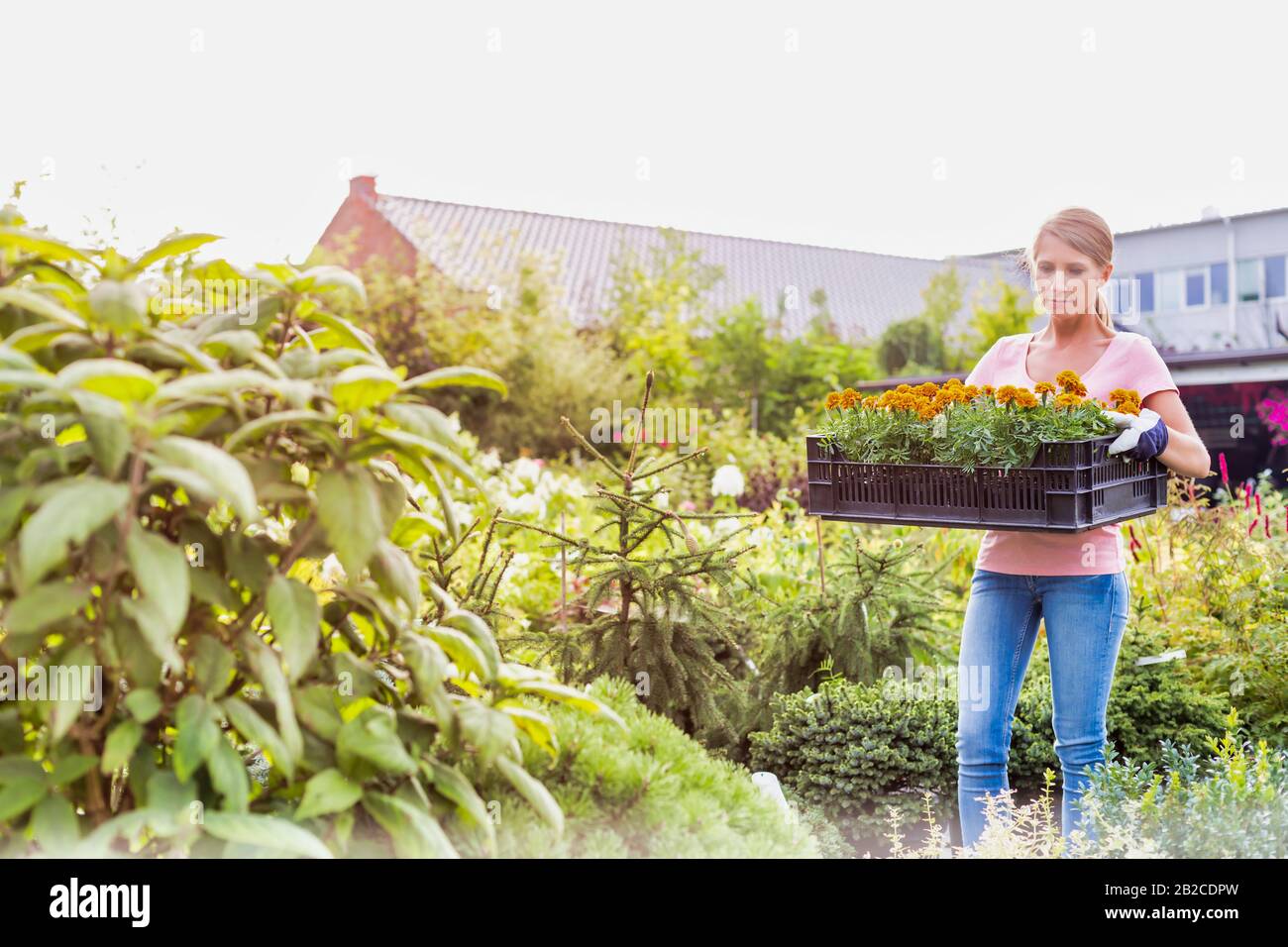 Mature female gardener hi-res stock photography and images - Alamy