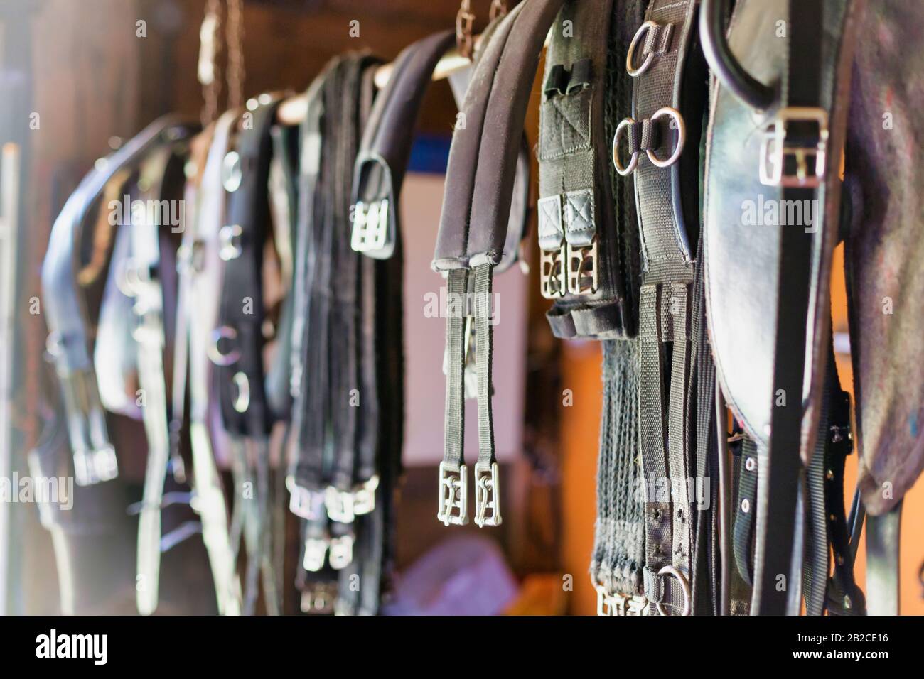 Close up photo of horse girth Stock Photo Alamy