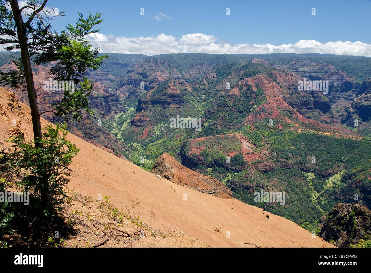Kauai / Hawaii Waimea Canyon State Park (also known as Grand Canyon of