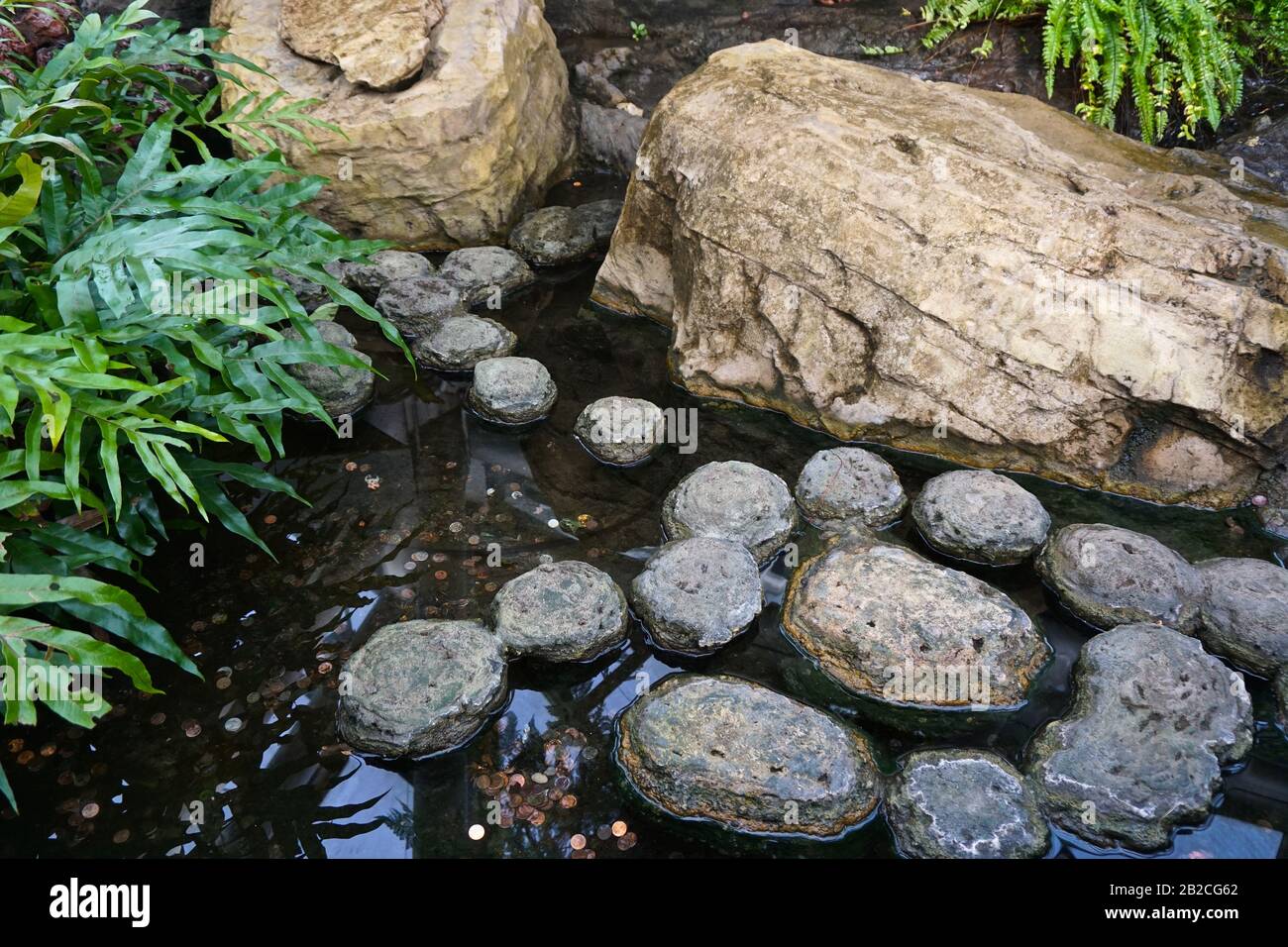 Pennies in a pond with rounded stones and plants, in a garden setting