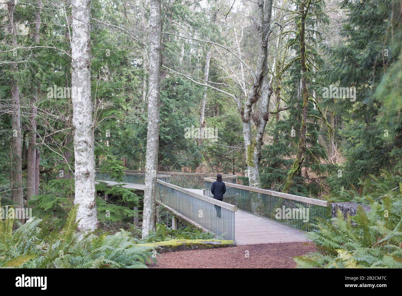 Solo walking man hi-res stock photography and images - Page 4 - Alamy