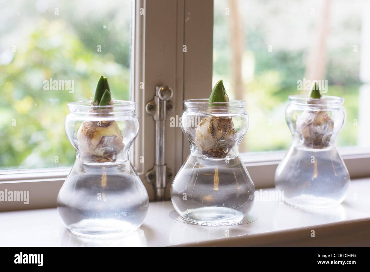 Jars on windowsill hires stock photography and images Alamy