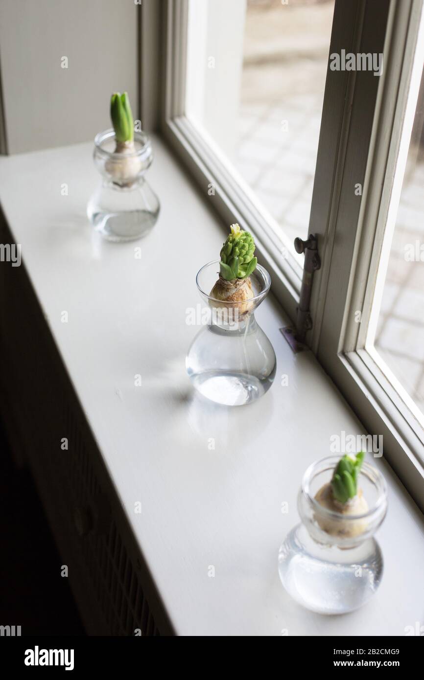 Jars on windowsill hires stock photography and images Alamy