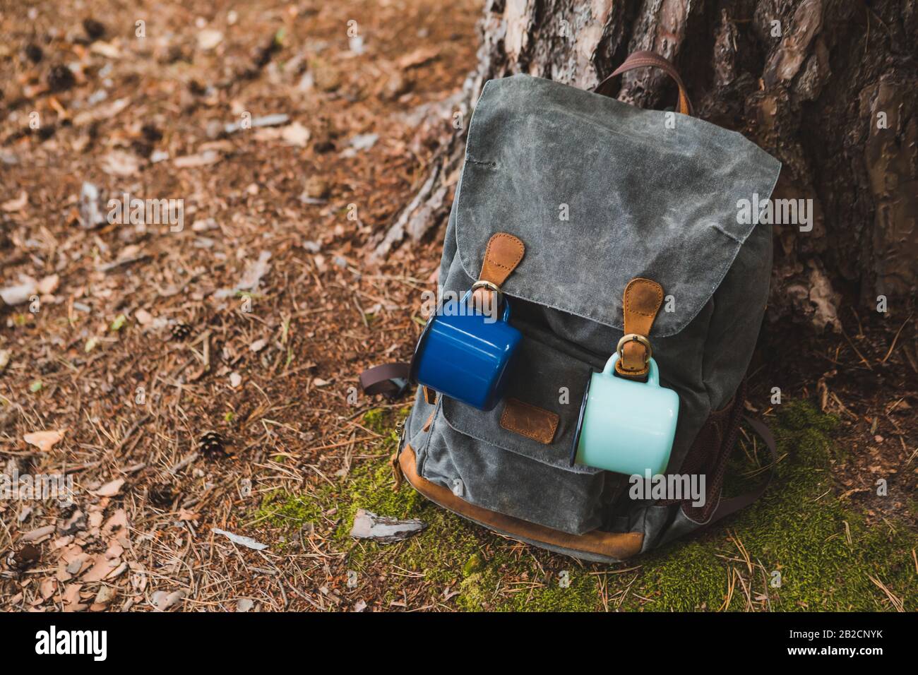 hiking backpack near tree in forest Stock Photo - Alamy