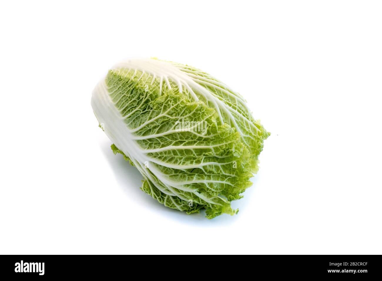Chinese cabbage isolated on white background Stock Photo