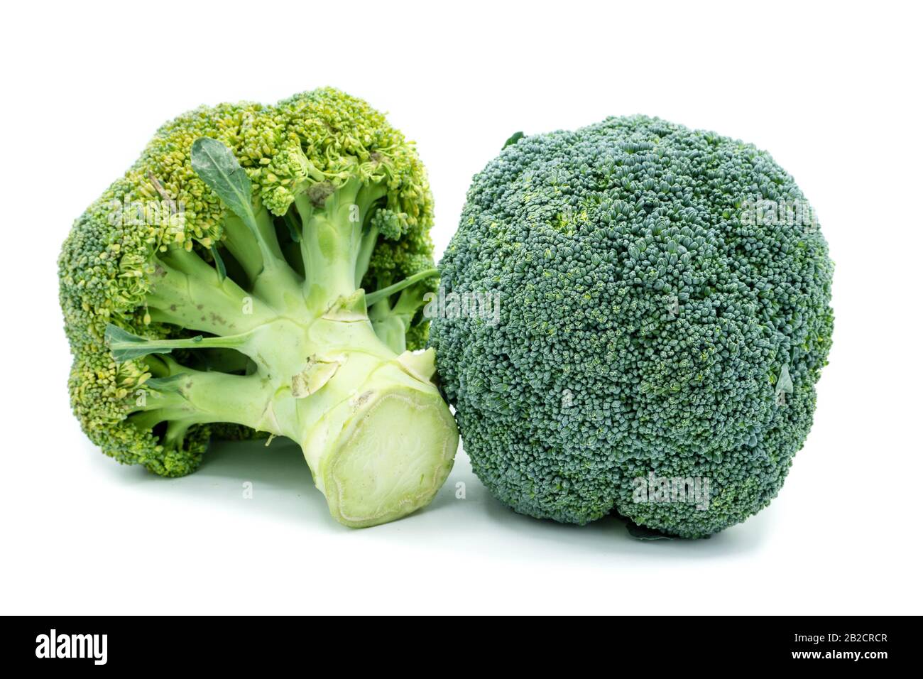 Broccoli isolated on white background Stock Photo