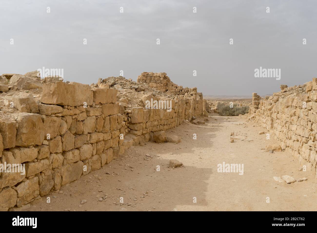 World heritage historic site of Shivta in Negev desert Stock Photo