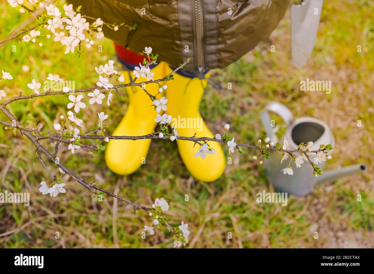 long yellow boots