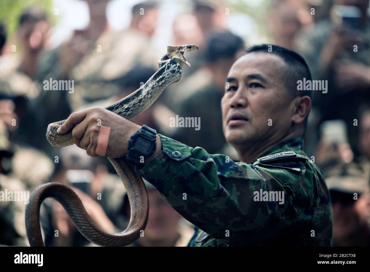 Ban Chan Khrem, Thailand. 02nd Mar, 2020. Royal Thai Marine CPO First Class Pairoj Prasarnsai handles a king cobra as part of jungle survival training during exercise Cobra Gold 2020 March 2, 2020 in Ban Chan Khrem, Chanthaburi, Thailand. The Marines learned essential skills necessary for surviving in a jungle environment, such as making a fire, eating plants and alternative ways to stay hydrated. Credit: Jordan E. Gilbert/Planetpix/Alamy Live News Credit: Planetpix/Alamy Live News Stock Photo