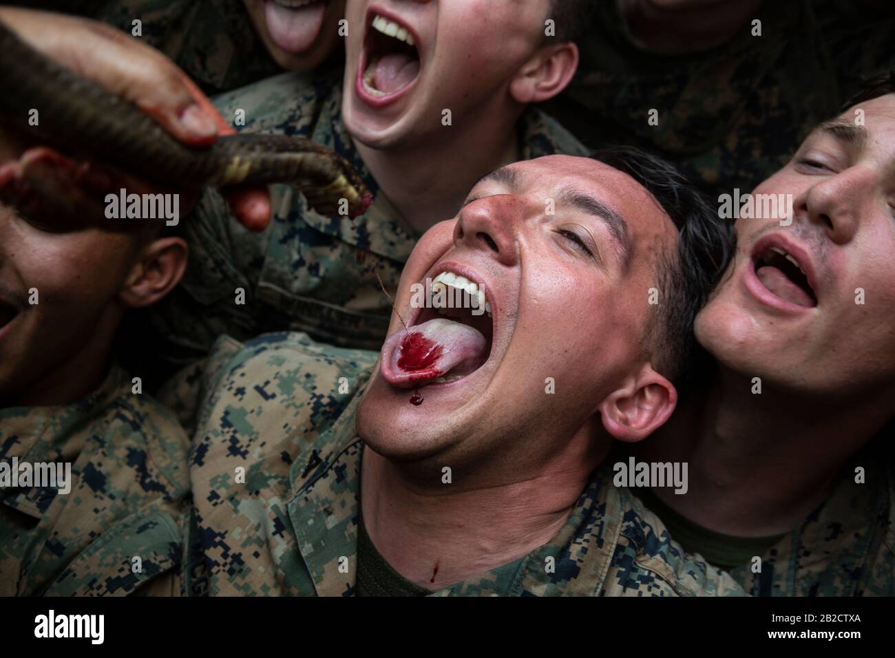 Ban Chan Khrem, Thailand. 02nd Mar, 2020. U.S. Marines drink the blood of a king cobra as part of jungle survival training during exercise Cobra Gold 2020 March 2, 2020 in Ban Chan Khrem, Chanthaburi, Thailand. The Marines learned essential skills necessary for surviving in a jungle environment, such as making a fire, eating plants and alternative ways to stay hydrated. Credit: Hannah Hall/Planetpix/Alamy Live News Credit: Planetpix/Alamy Live News Stock Photo