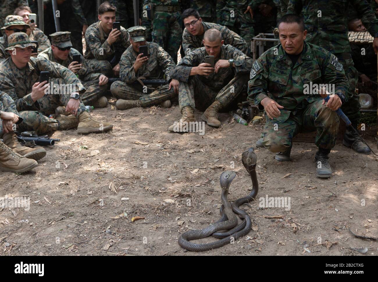 Ban Chan Khrem, Thailand. 02nd Mar, 2020. Royal Thai Marine CPO First Class Pairoj Prasarnsai demonstrates how to handle a king cobra as part of jungle survival training during exercise Cobra Gold 2020 March 2, 2020 in Ban Chan Khrem, Chanthaburi, Thailand. The Marines learned essential skills necessary for surviving in a jungle environment, such as making a fire, eating plants and alternative ways to stay hydrated. Credit: Hannah Hall/Planetpix/Alamy Live News Credit: Planetpix/Alamy Live News Stock Photo