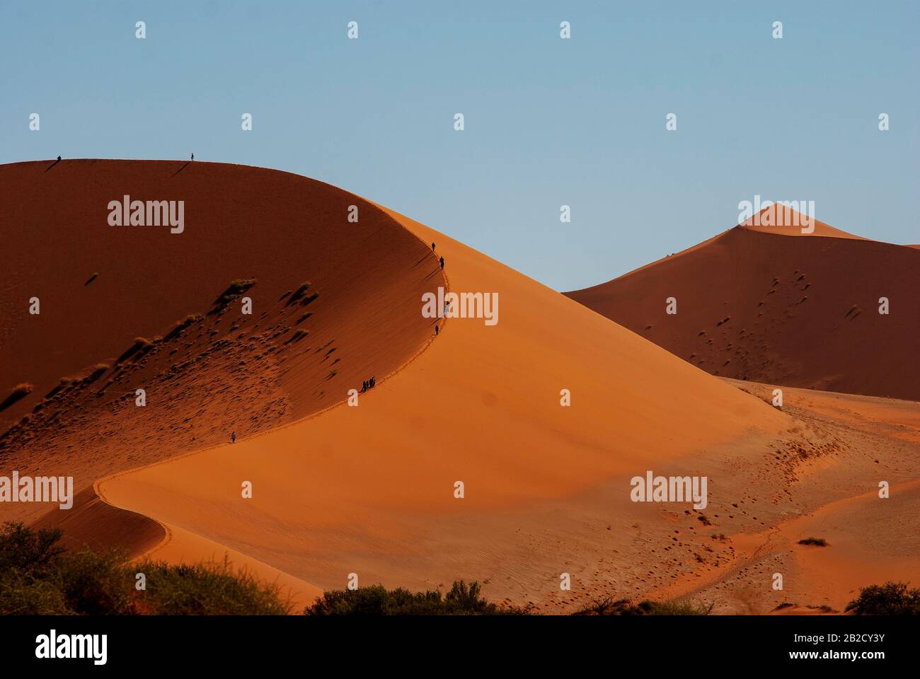 Tourists climbing Sossusvlei dune, the most famous dune at Namib ...