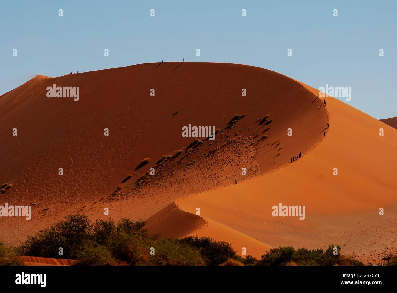 Tourists climbing Sossusvlei dune, the most famous dune at Namib ...