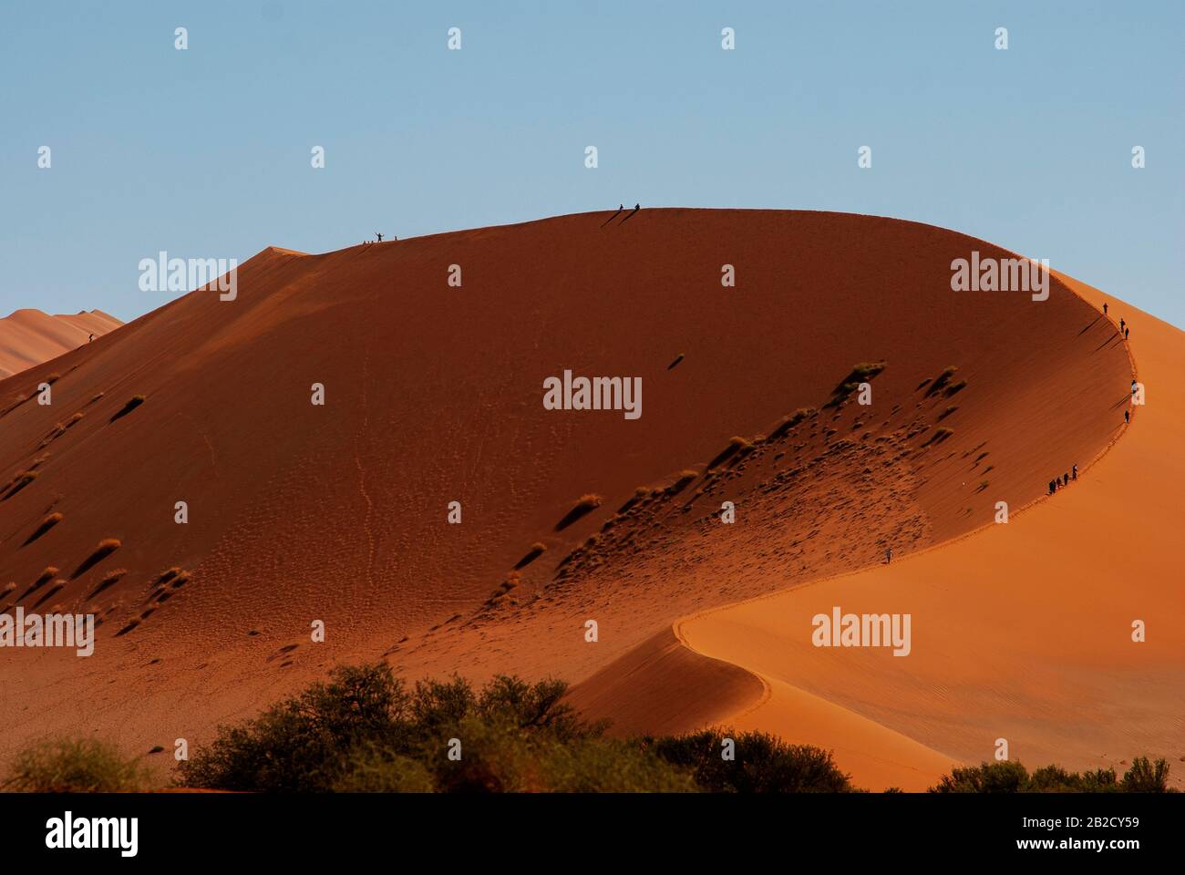 Tourists climbing Sossusvlei dune, the most famous dune at Namib ...